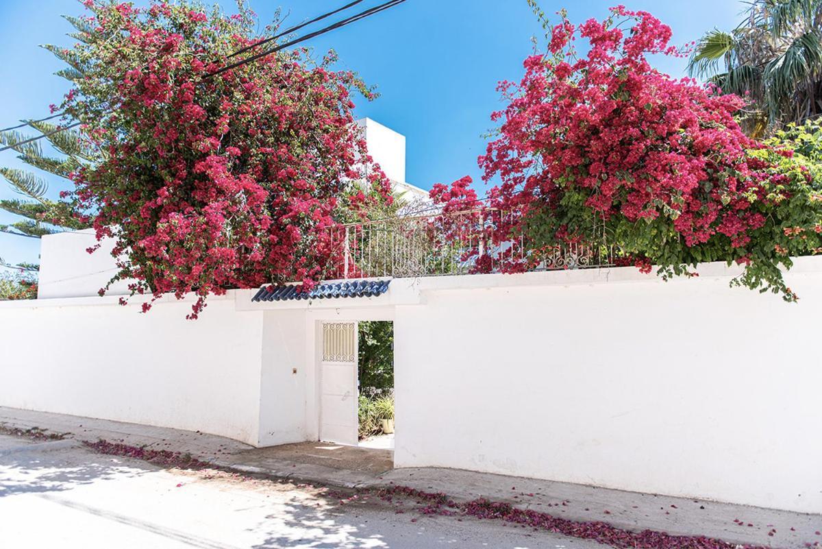 Dar Mayya La Marsa Exteriér fotografie